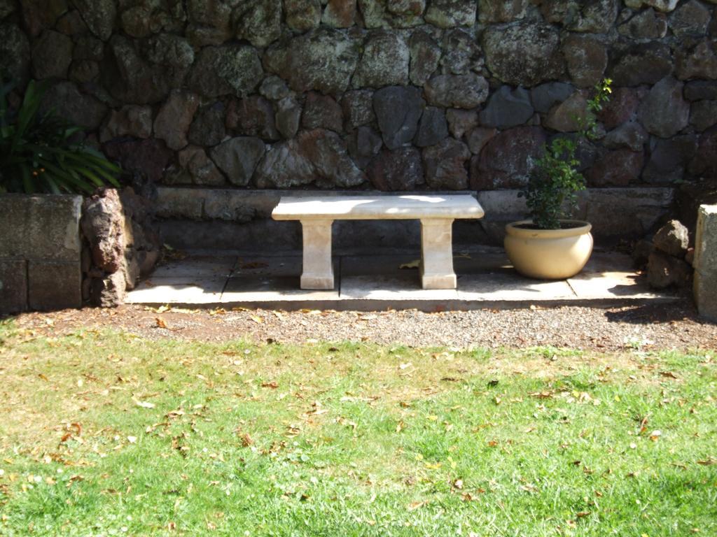 Bed and Breakfast The Quiet Quarter Auckland Esterno foto